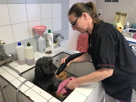 Nathalie Toutou chic